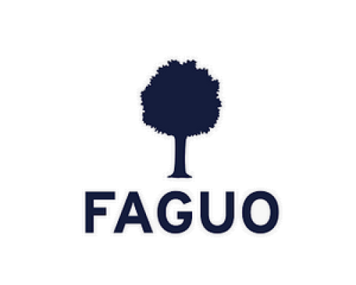 Black Friday 2024 Faguo