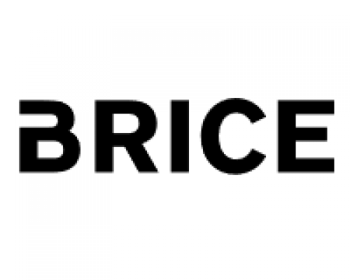Black Friday 2024 Brice