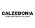 Black Friday 2024 Calzedonia