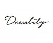 Black Friday 2024 Dresslily