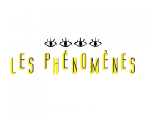 Black Friday 2024 Les Phénomènes