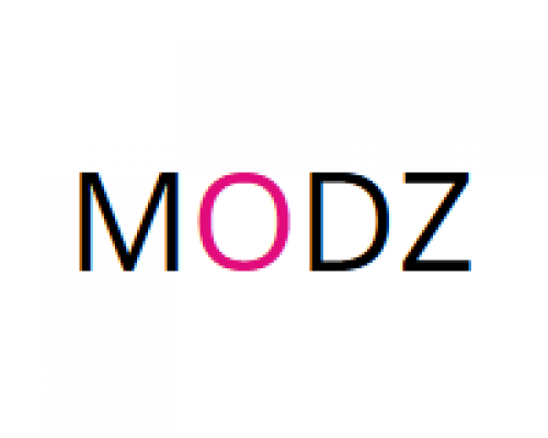 Black Friday 2024 Modz