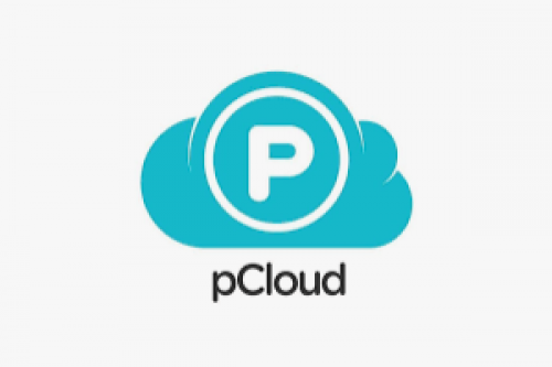 Black Friday 2024 pCloud