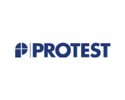 Black Friday 2024 Protest